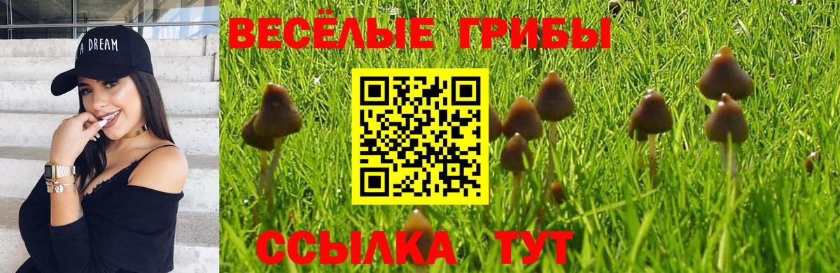 Псилоцибиновые грибы Cubensis Астрахань