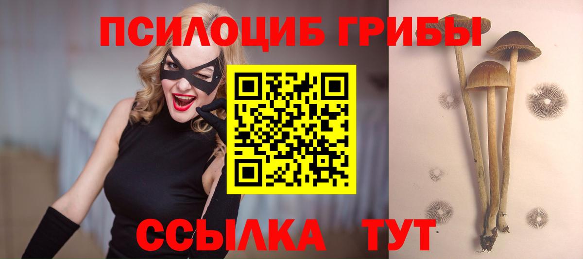 Астрахань  Галлюциногенные грибы Cubensis  Вход с VPN 